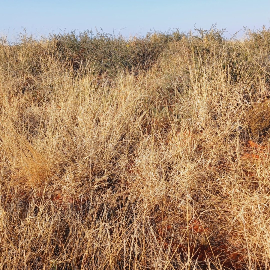  Bedroom Property for Sale in Jacobsdal Rural Free State